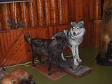 169 - Banff,Lake Louise,Morraine Lake  - IMGA0014